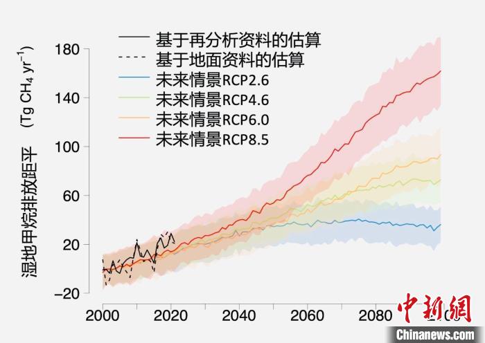 基于觀測的濕地甲烷排放變化與未來氣候變化情景下估算的對比。　中科院青藏高原所 供圖