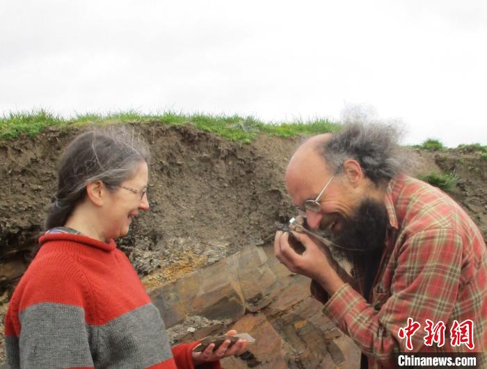 中外合作研究發現：4.62億年前威爾士化石保存多種海洋生物