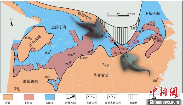 華南地區志留紀早期古地理圖和盔甲魚類化石產地(山顯任改自陳旭、戎嘉余，1996；戎嘉余等，2012) 中科院古脊椎所 供圖