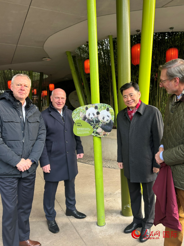 中國駐德國大使吳懇（右二）、柏林市長韋格納（左二）、動物園園長克尼里姆（右一）和監事會主席布魯克曼（左一）共同為“夢想”“夢圓”大熊貓紀念牌揭幕。人民網記者 徐馨攝