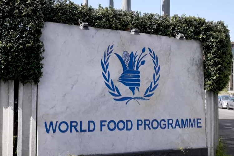 聯合國世界糧食計劃署：海地“瀕臨毀滅性的饑餓危機”