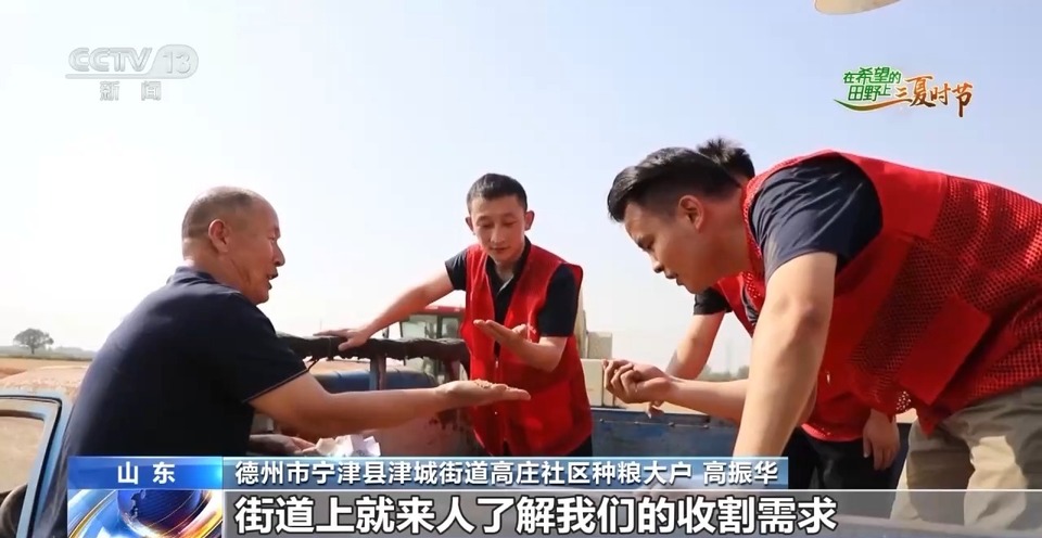 “三夏”生產(chǎn)思維導(dǎo)圖安排上了！還有政府大院等你來“曬”