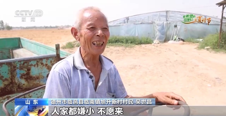 “三夏”生產(chǎn)思維導(dǎo)圖安排上了！還有政府大院等你來“曬”
