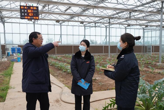 稅務(wù)干部走進常德市西洞庭管理區(qū)的朝鮮薊種植基地，宣傳稅費優(yōu)惠政策，助力農(nóng)企搶農(nóng)時、抓春耕、穩(wěn)增長。吳家豪攝
