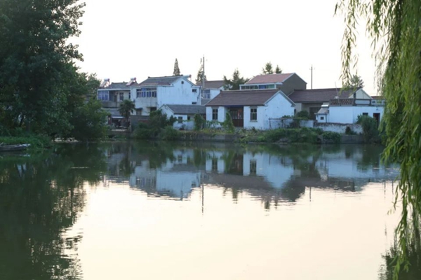 江蘇省揚州市寶應縣柳堡鎮團莊村村景。江蘇鄉村規劃建設研究會供圖