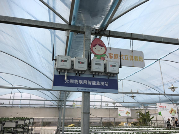 都市四季果園內的物聯網智能監測站系統。東海縣委宣傳部供圖
