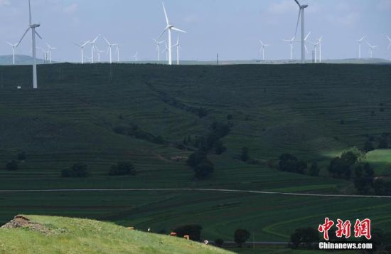 6月28日，河北張家口張北草原上大片風力發(fā)電的“風車”規(guī)模宏大。 中新社記者 楊艷敏 攝