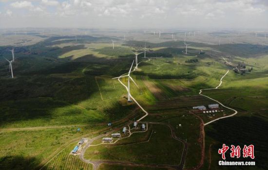 6月28日，河北張家口張北草原上大片風力發(fā)電的“風車”規(guī)模宏大。 中新社記者 楊艷敏 攝