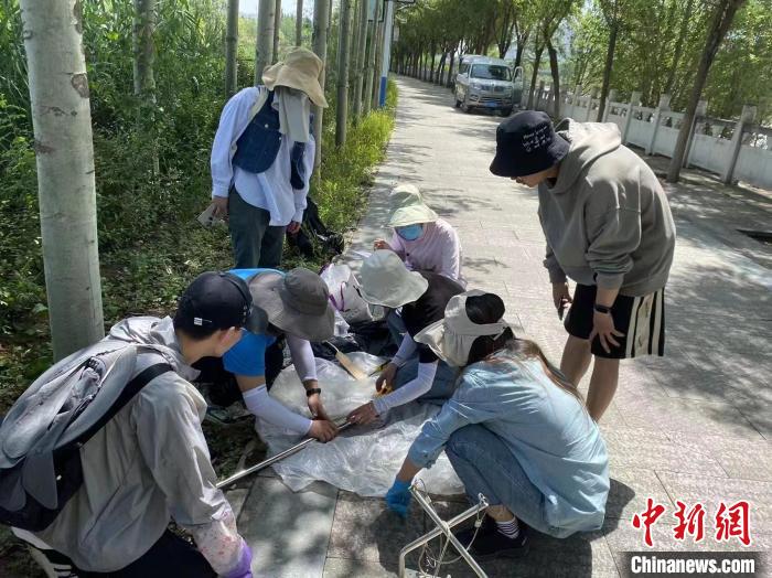 圖為科研人員正在進行監測。　西寧湟水國家濕地公園供圖