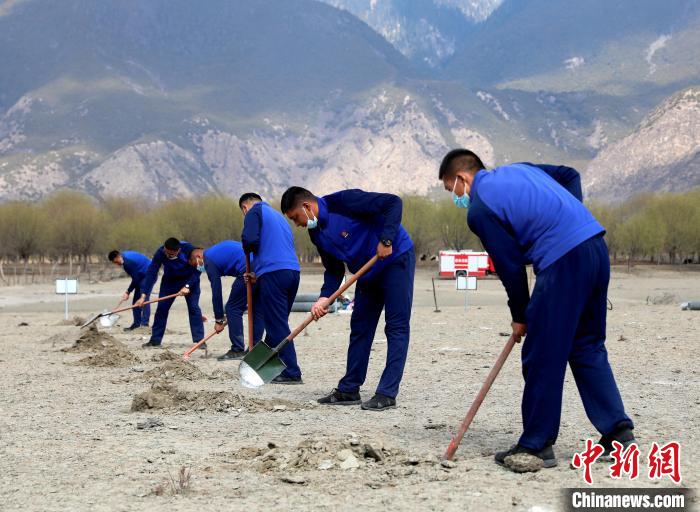 林芝市巴宜區森林消防中隊志愿服務隊正在揮鍬鏟土。　西繞拉翁 攝