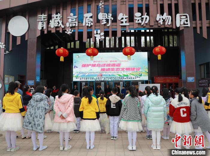 圖為青海省西寧市開展第42屆“愛鳥周”科普宣傳活動。　馬銘言 攝