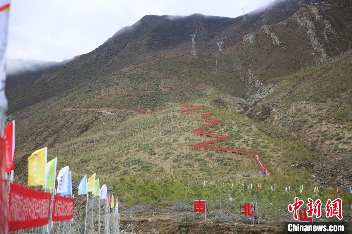 圖為拉薩南北山綠化工程拉薩曲水縣才納村5號片區(qū)。　貢確 攝