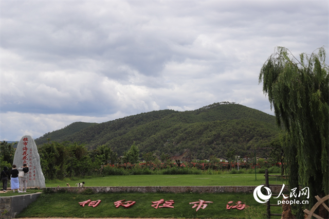 麗江市拉市海景區(qū)。 人民網(wǎng)記者 程浩攝