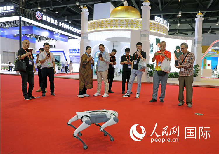 東博會(huì)上，觀眾正在參觀一只機(jī)器狗。綠色能源、新能源汽車(chē)、綠色農(nóng)產(chǎn)品等成為本屆東博會(huì)觀眾關(guān)注的焦點(diǎn)。人民網(wǎng)記者 趙益普攝
