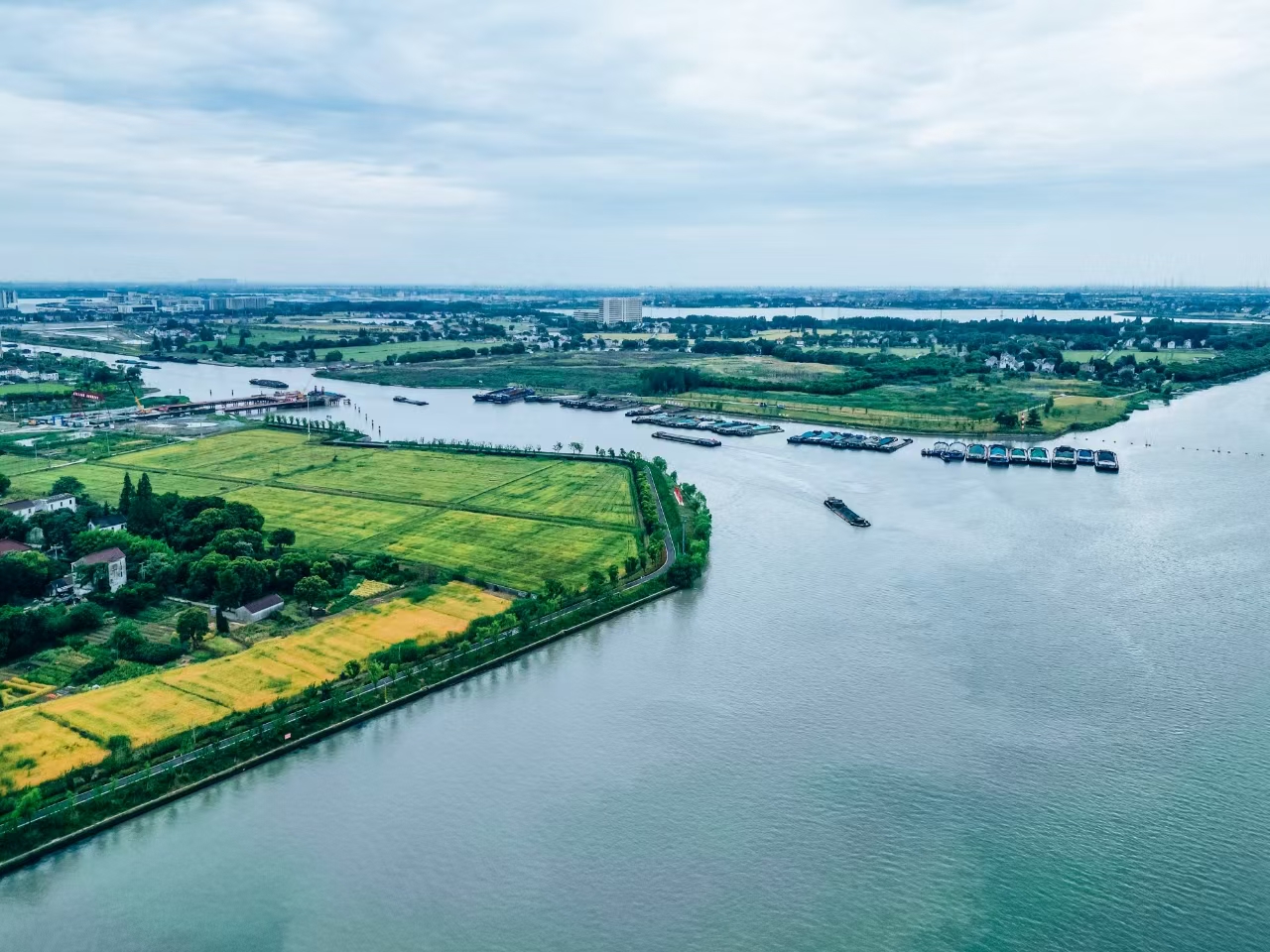 太浦河沿岸好風光。吳橫軒攝