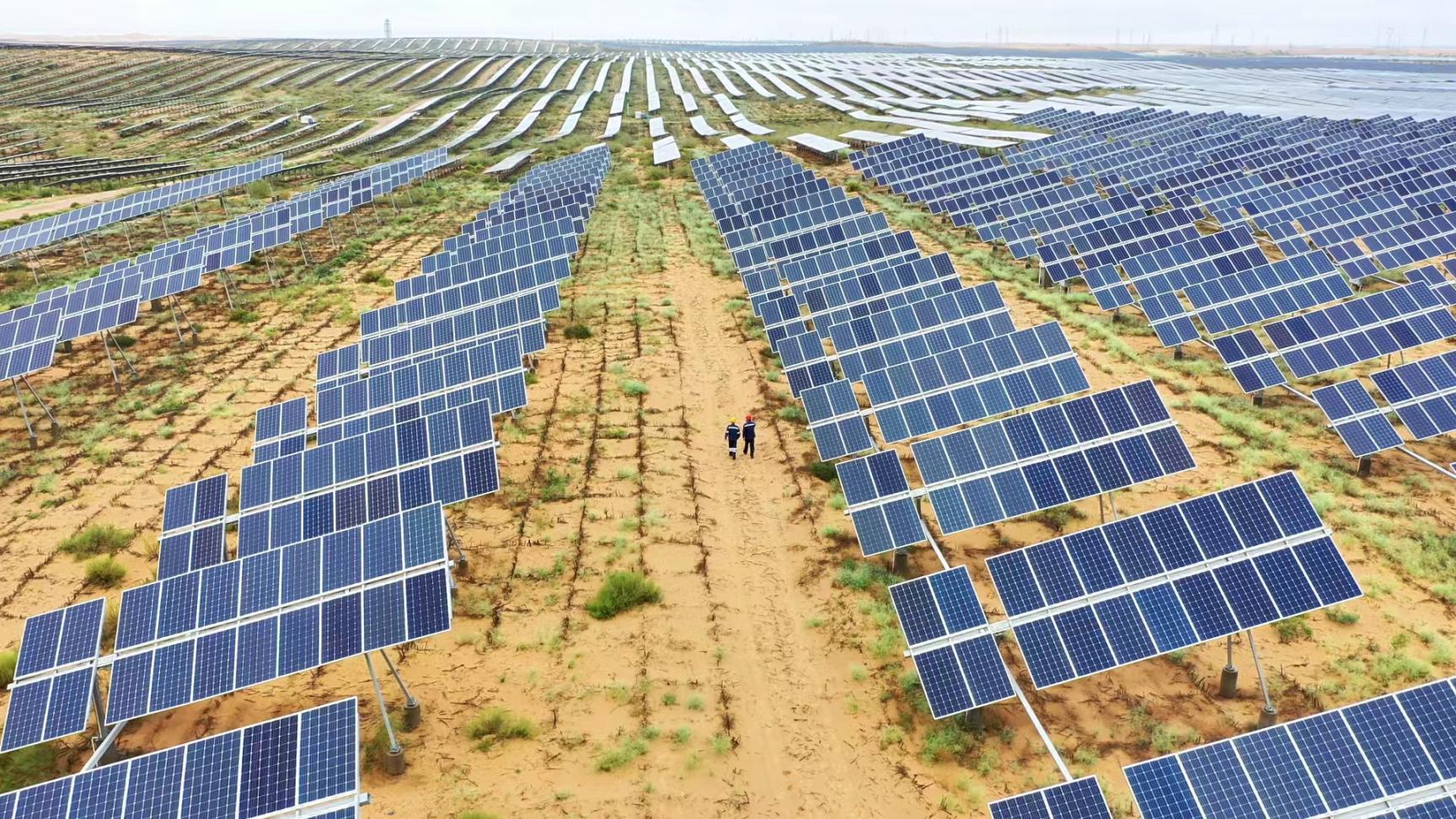 達拉特旗光伏發電應用領跑基地。人民網記者 魏青成攝