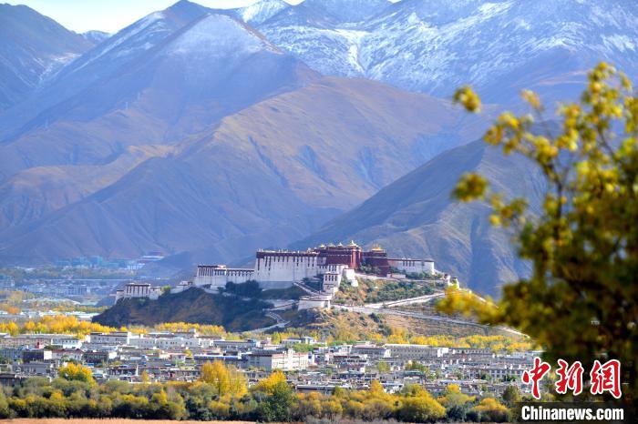 10月24日，雪山、布達(dá)拉宮和秋色組成“風(fēng)景畫”。　江飛波 攝