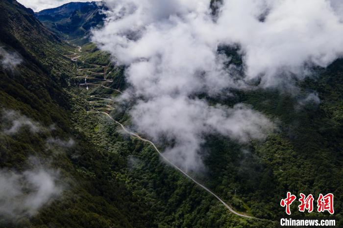西藏山南勒布溝景區的盤山公路被云霧環繞。　江飛波 攝