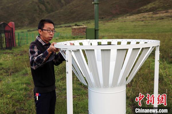 青海氣象服務為高原藏雪茶“鋪就”生態致富路