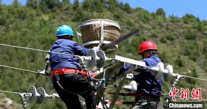 國網青海電力：三江源4000多個“人工鳥巢”實行一體化管理