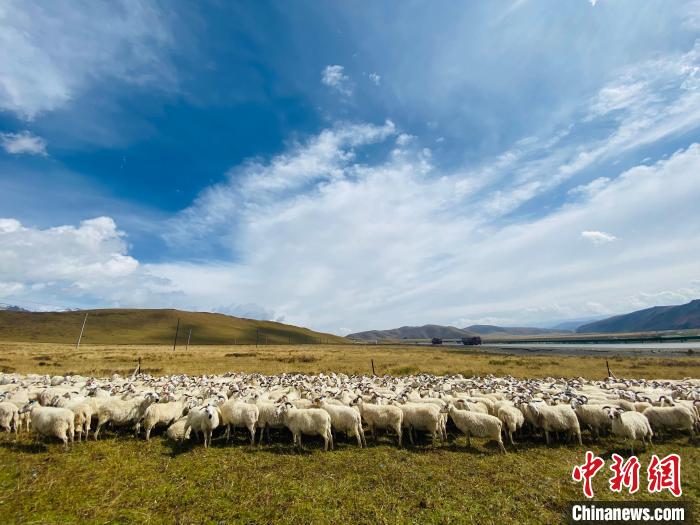 三江源國家公園：科技畜牧支撐生態保護和區域經濟協調發展