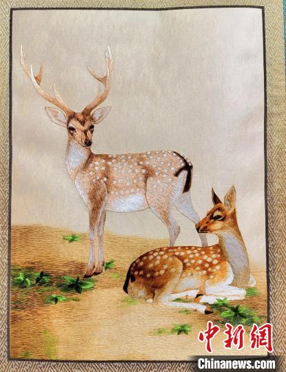 圖為藏繡作品?！∑钤鲚?攝