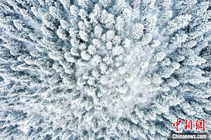 壤塘的雪后美景?！∪捞量h融媒體中心供圖
