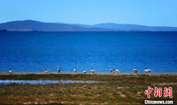 青海果洛建立青藏川滇甘交界生態環保協同發展合作機制