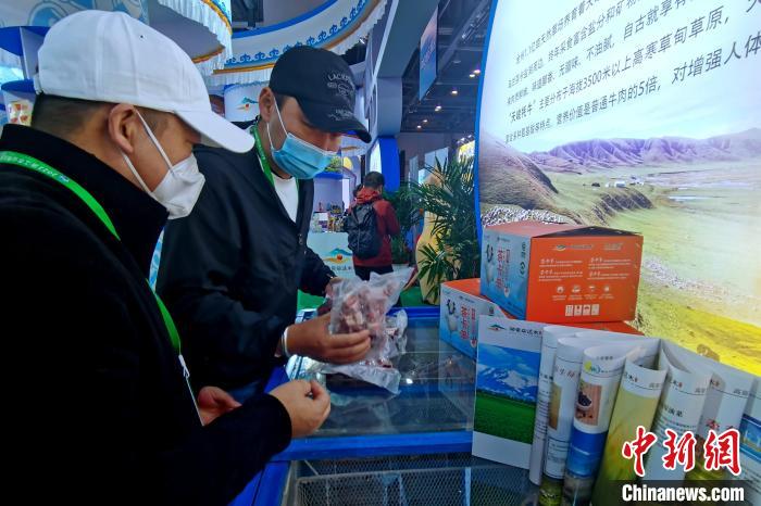 圖為青海參展商整理牛羊肉。 李雋 攝