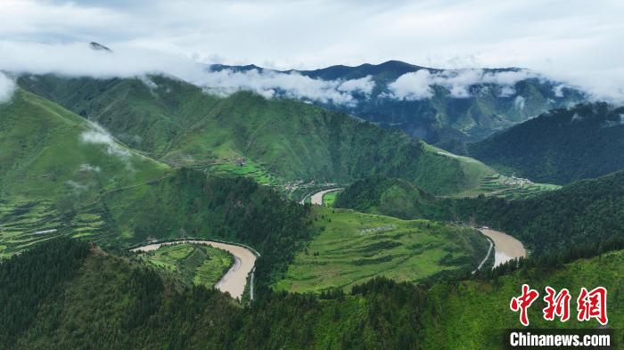資料圖為果洛州境內(nèi)瑪可河國家森林公園。　馬銘言 攝