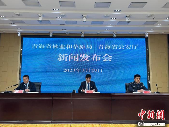 青海去年占用林地、草地準予許可件同比實現“雙減”