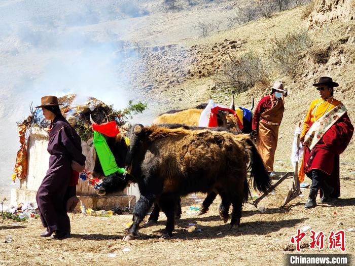 圖為春耕儀式現(xiàn)場。　王麗山 供圖