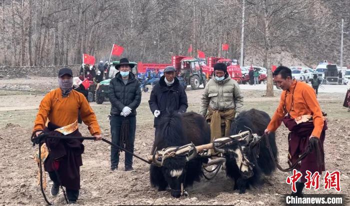 圖為活動現場當地群眾展示傳統春耕方式。　李江寧 攝