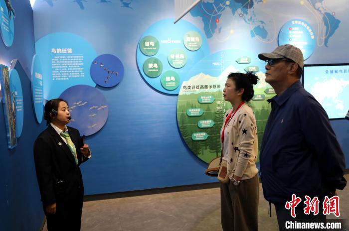 圖為臺商在祁連山國家公園生態科普館內聆聽講解。 薛蒂 攝