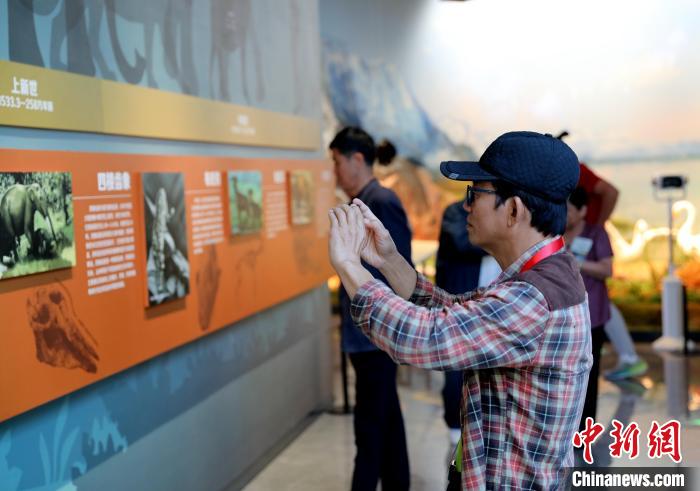 圖為臺商在祁連山國家公園生態科普館觀看墻面藝術圖文。 薛蒂 攝