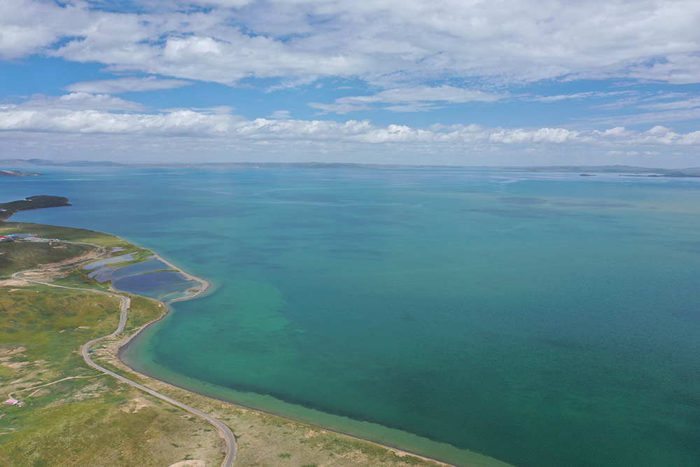 大自然的生態美學！黃河源園區哪一抹色彩最讓你心動？