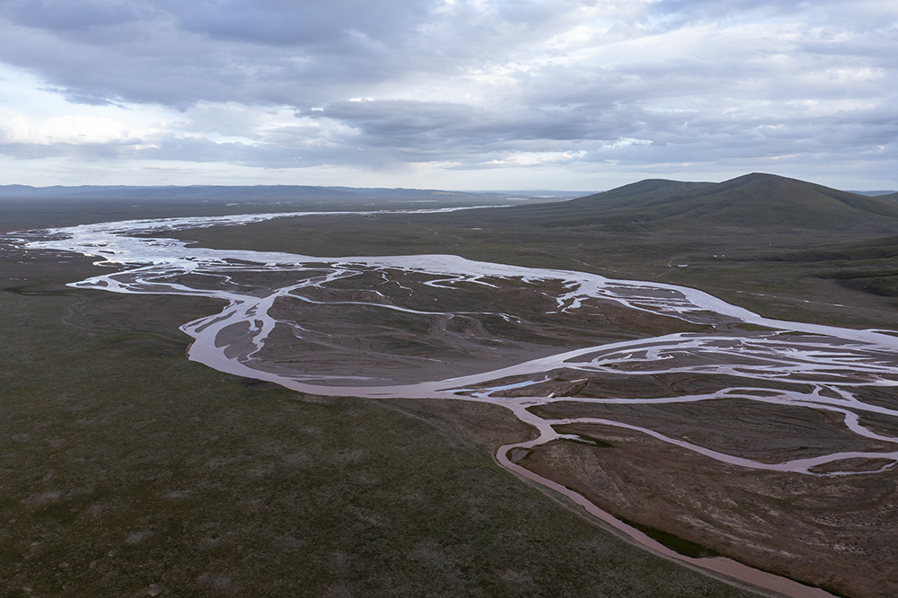 大自然的生態美學！黃河源園區哪一抹色彩最讓你心動？