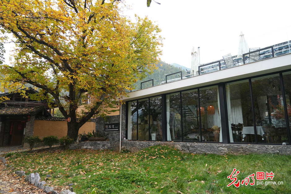 【世界的香格里拉】民宿經濟為鄉村振興注入新活力