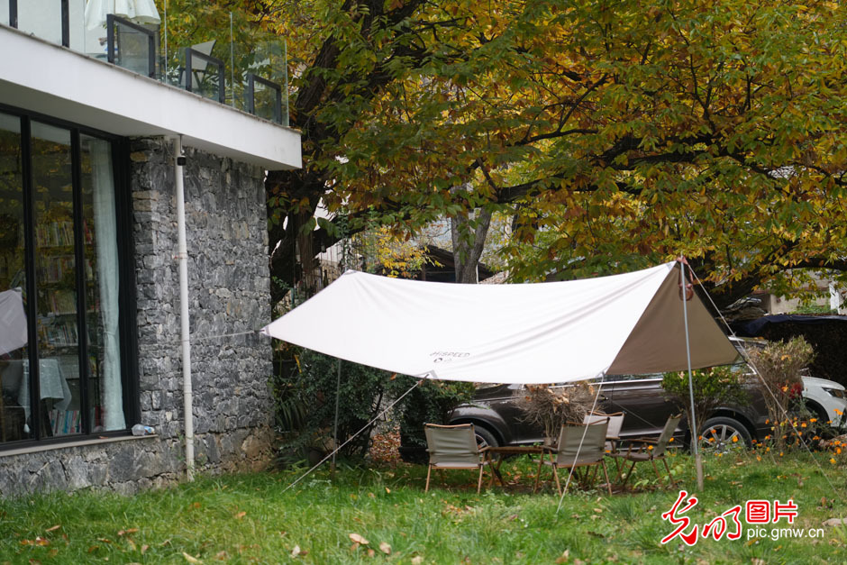 【世界的香格里拉】民宿經濟為鄉村振興注入新活力