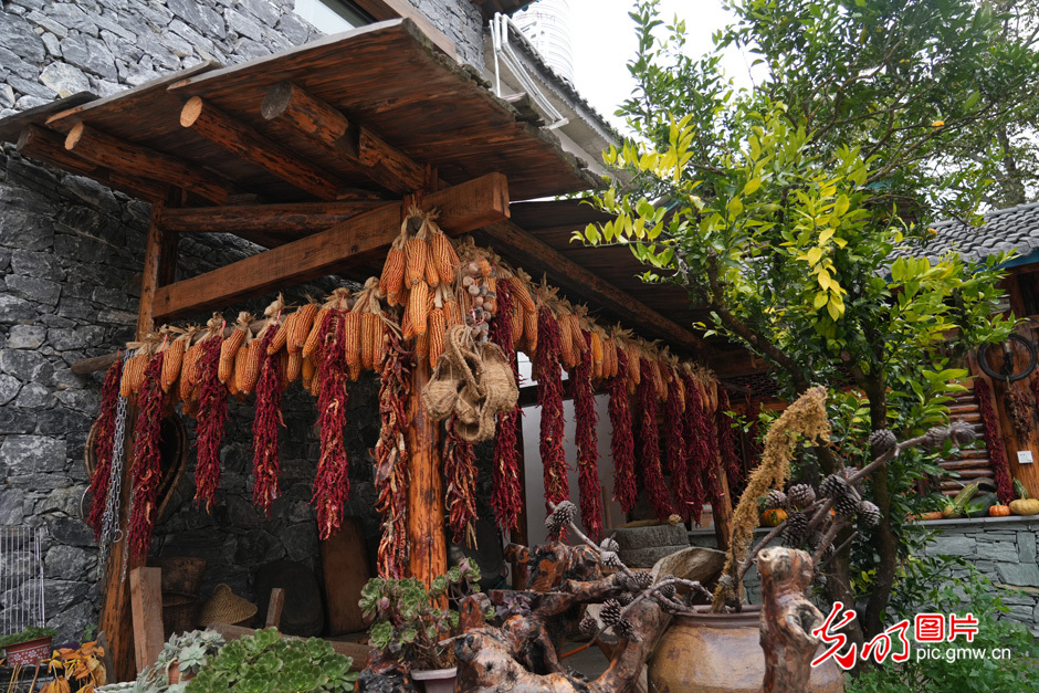 【世界的香格里拉】民宿經濟為鄉村振興注入新活力