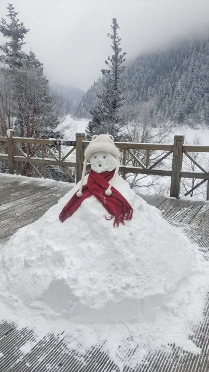 游客堆的雪人。九管局供圖