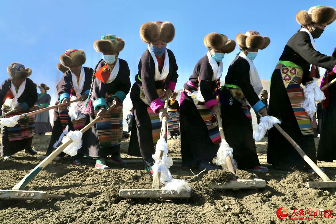 當地村民身著節日盛裝，舉行春耕儀式。人民網 次仁羅布攝