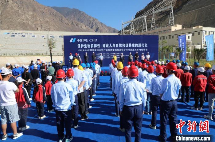 圖為蘇洼龍水電站魚類放流現場?！√K洼龍水電站供圖