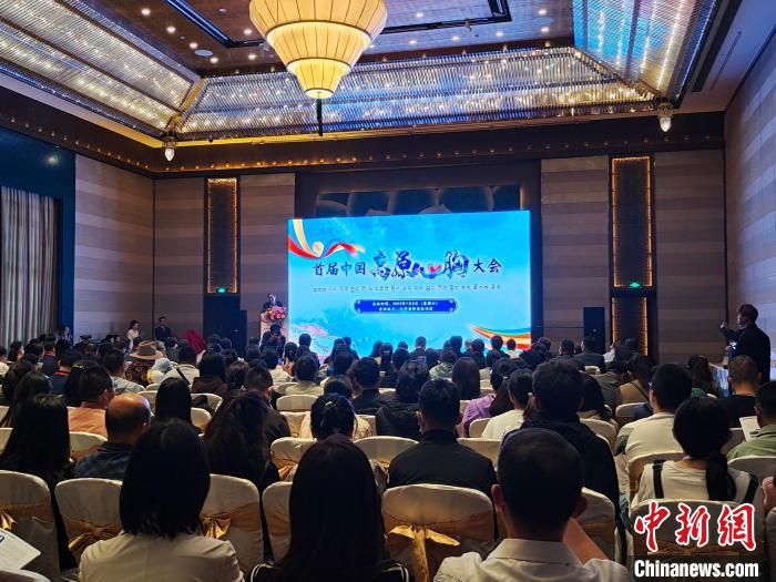 圖為首屆中國高原心胸大會現場。　頓旦旺姆 攝