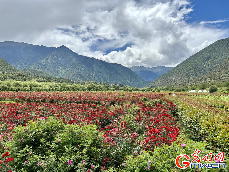 我們的家園丨【組圖】 綠水青山入畫(huà)，“金山銀山”筑起