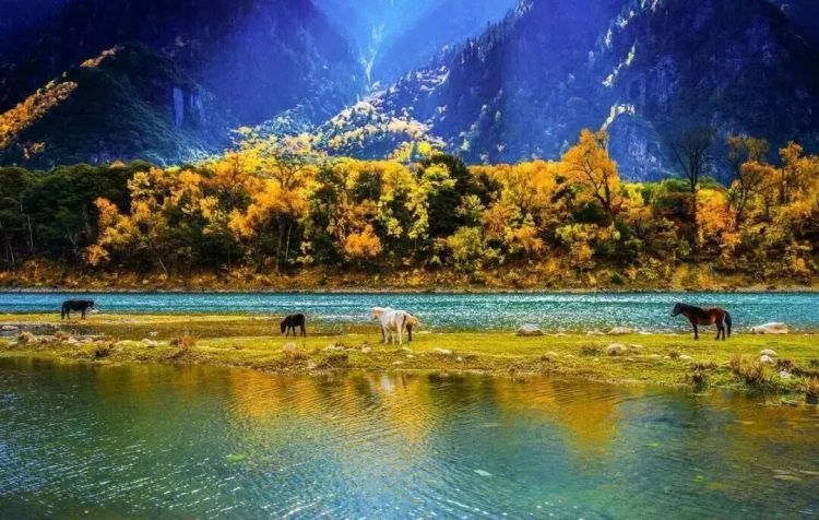 懂西藏的人，一定不會錯過林芝的秋天