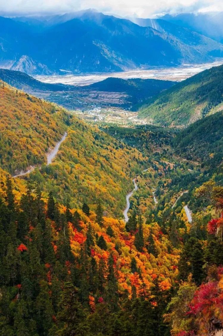 懂西藏的人，一定不會錯過林芝的秋天