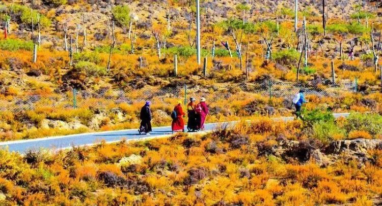 懂西藏的人，一定不會錯過林芝的秋天
