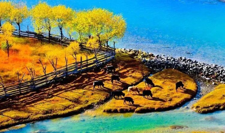 懂西藏的人，一定不會錯過林芝的秋天