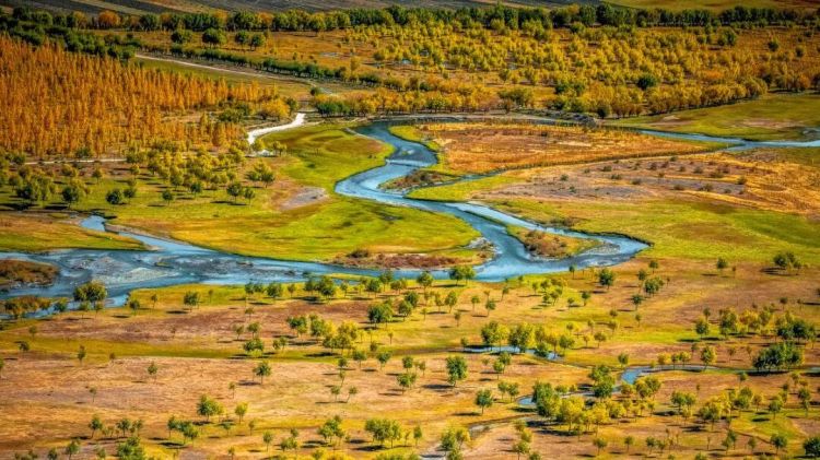 懂西藏的人，一定不會錯過林芝的秋天